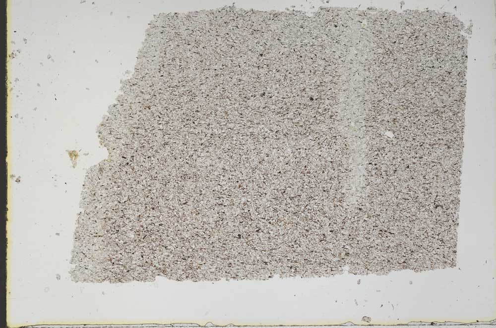 Plane Polarized, S48153