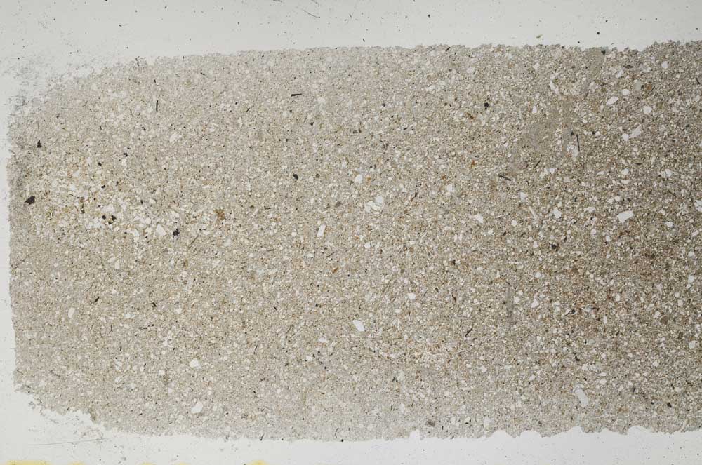 Plane Polarized, S48183