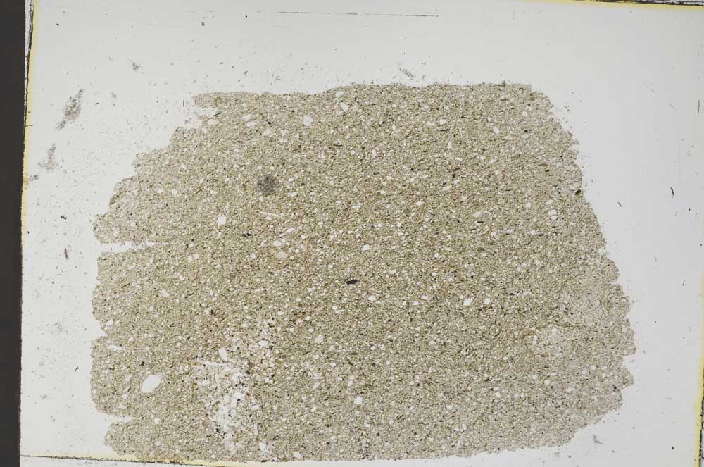 Plane Polarized, S48187