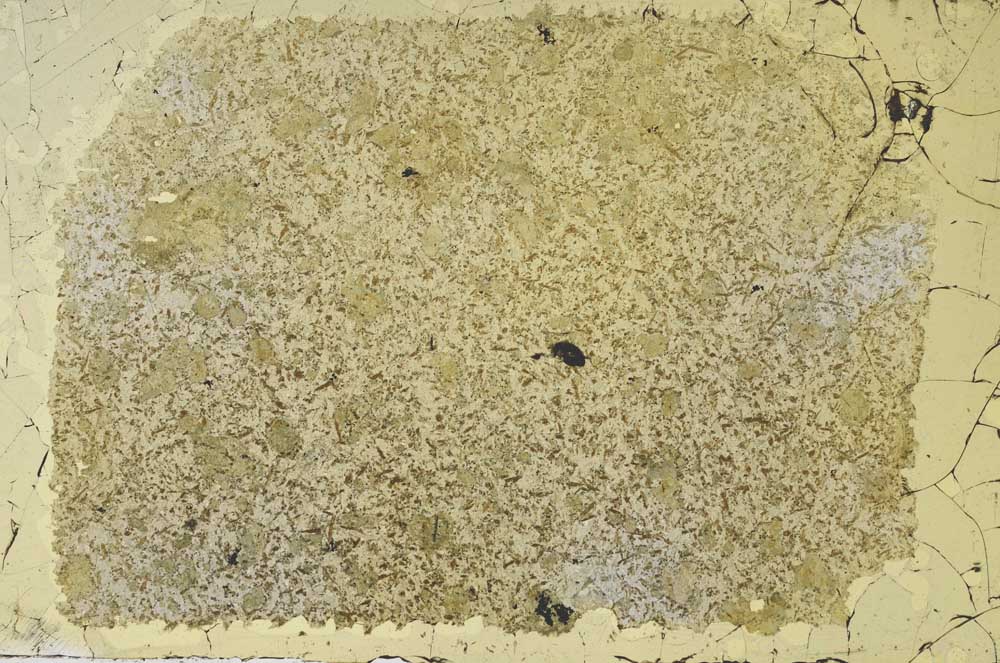 Plane Polarized, S48204