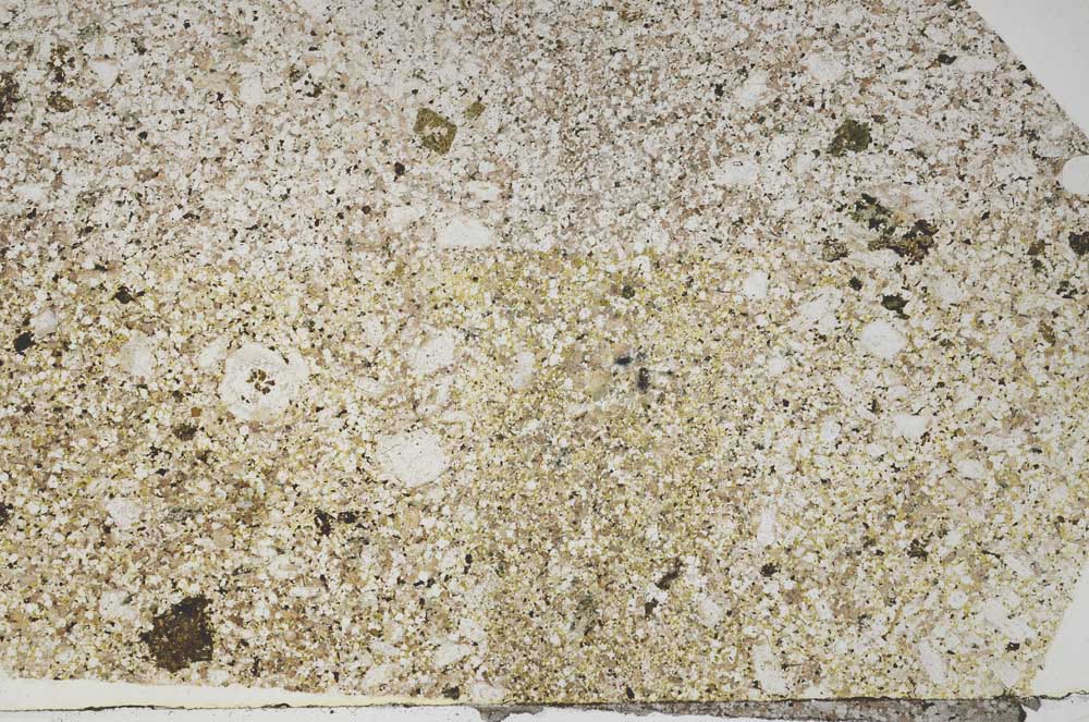 Plane Polarized, S48209/A