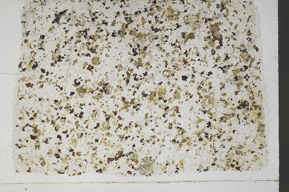 Plane Polarized, S48225/A