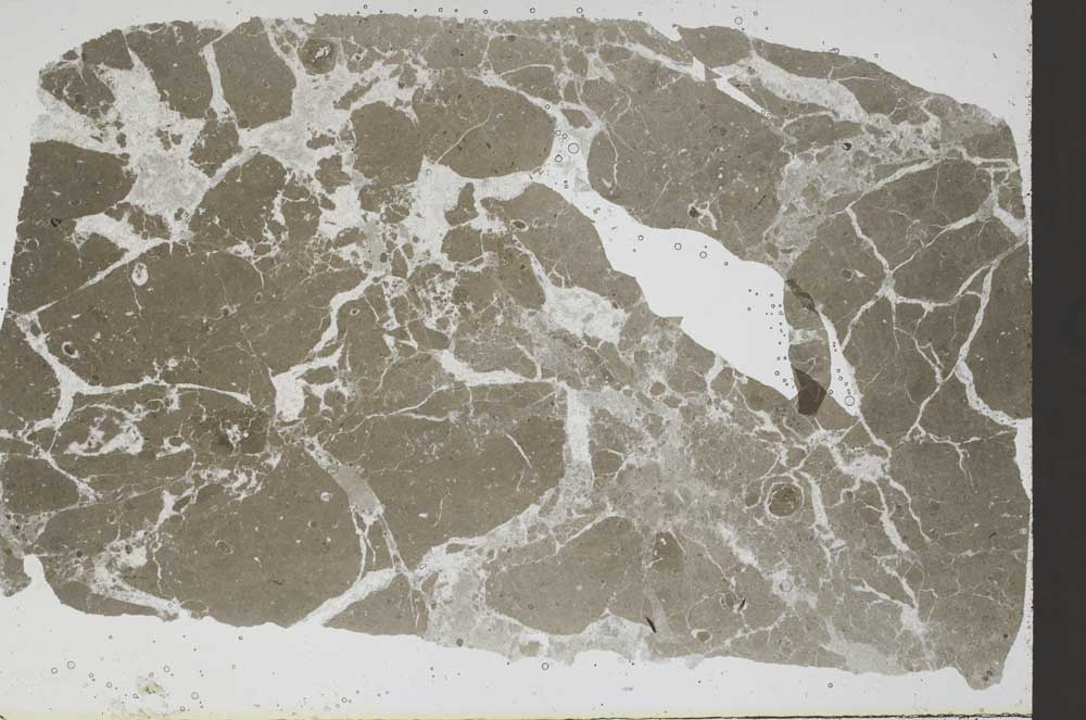 Plane Polarized, S48289