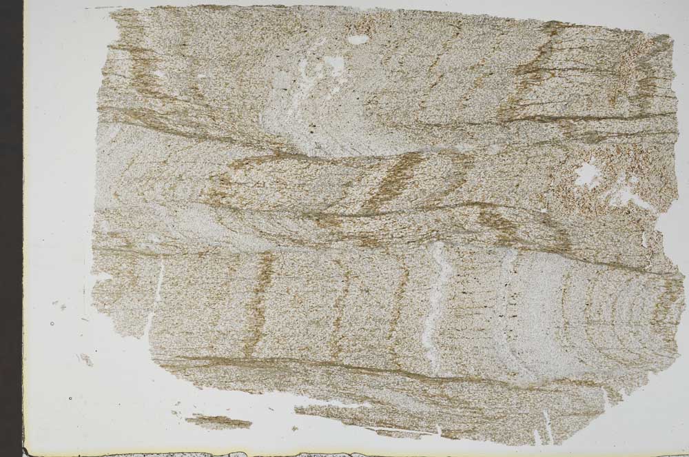 Plane Polarized, S48295