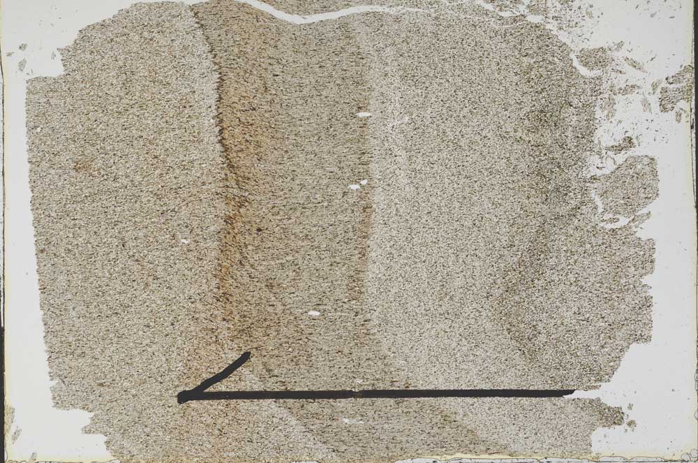 Plane Polarized, S48296