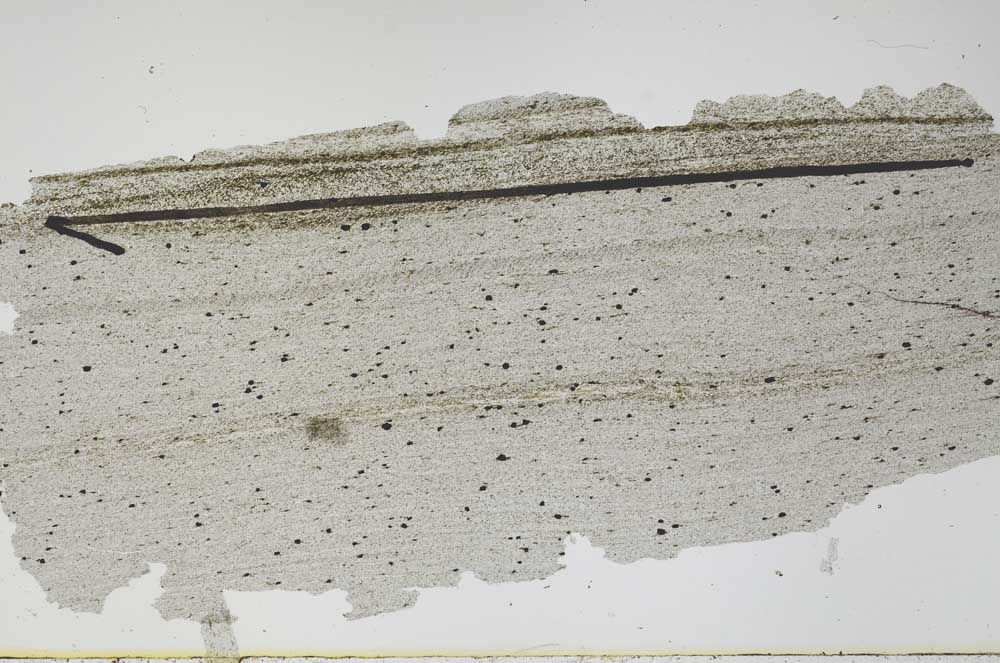 Plane Polarized, S48301