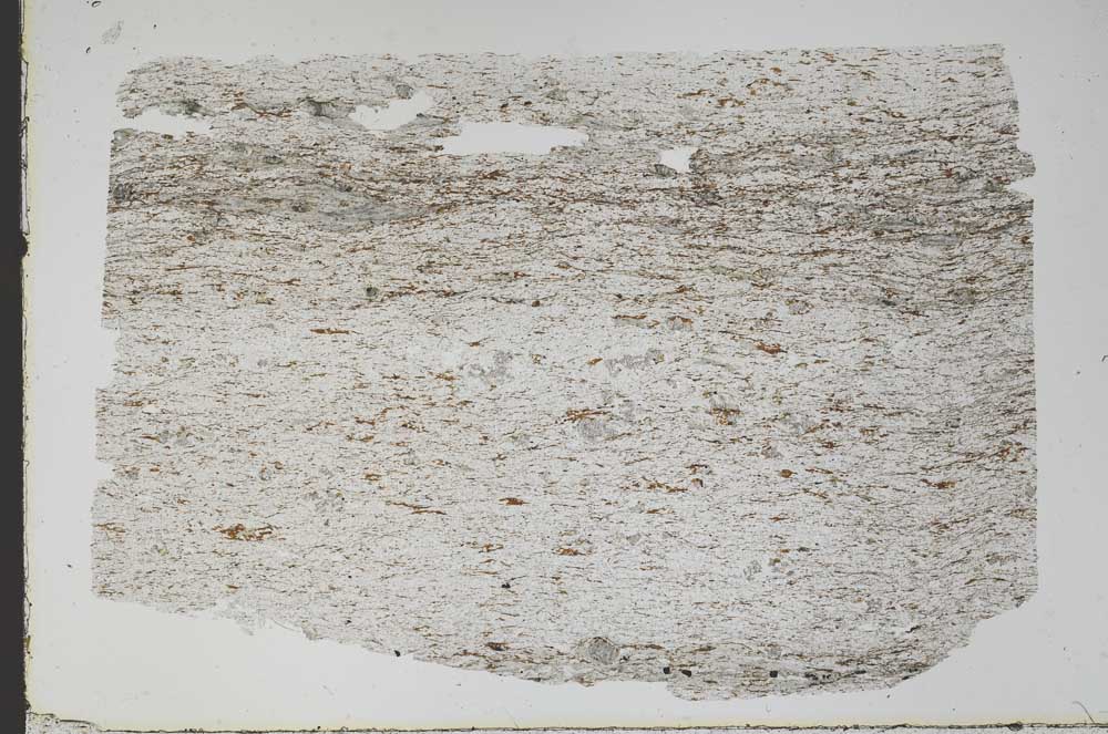 Plane Polarized, S48311