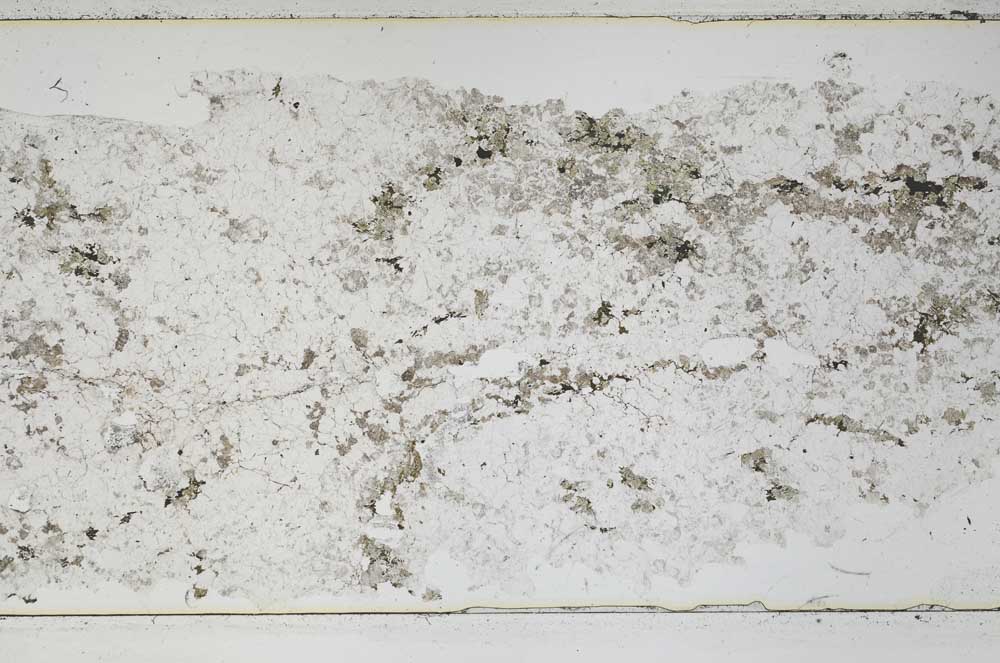 Plane Polarized, S48313