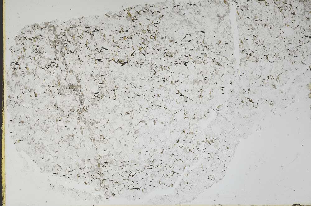 Plane Polarized, S48316