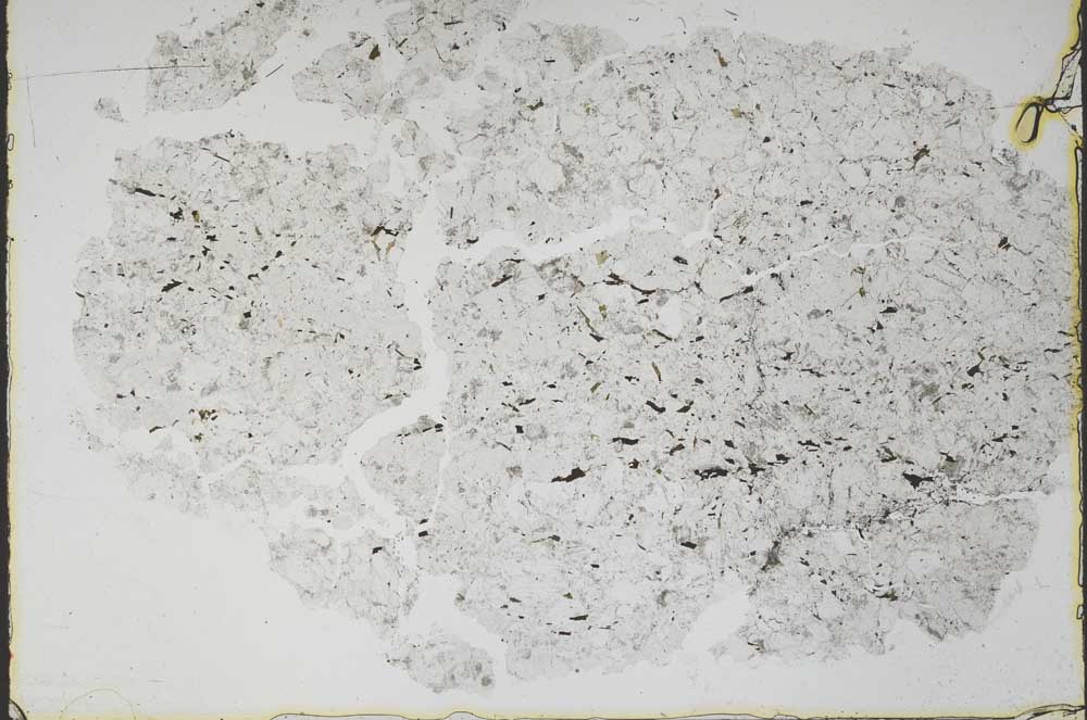 Plane Polarized, S48318