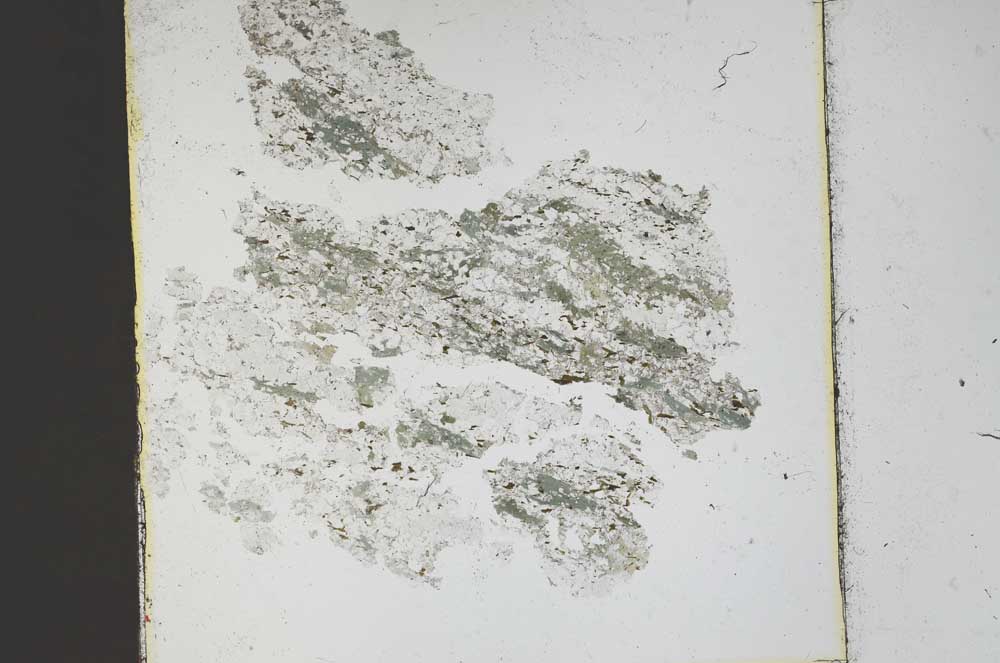 Plane Polarized, S48323