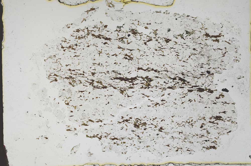 Plane Polarized, S48346