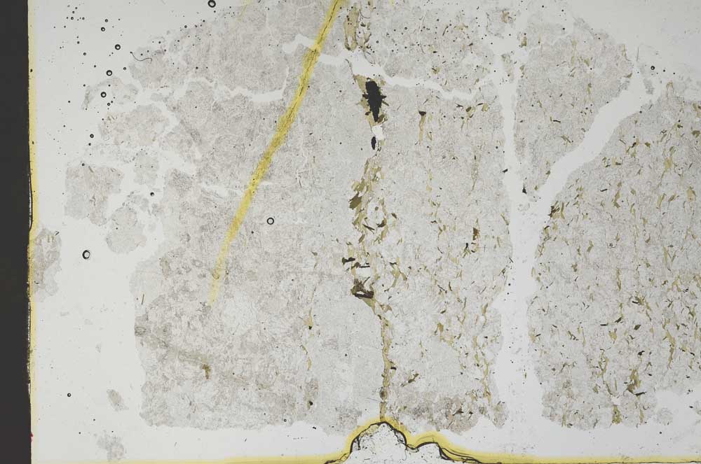 Plane Polarized, S48348