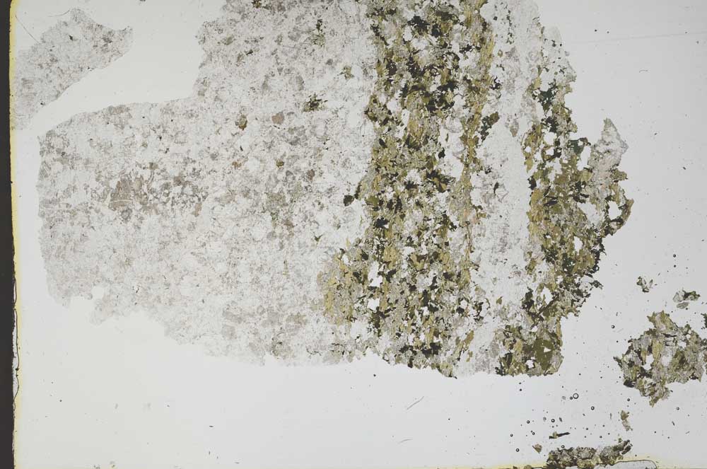 Plane Polarized, S48350