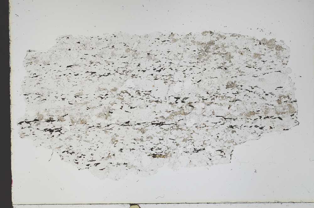 Plane Polarized, S48366