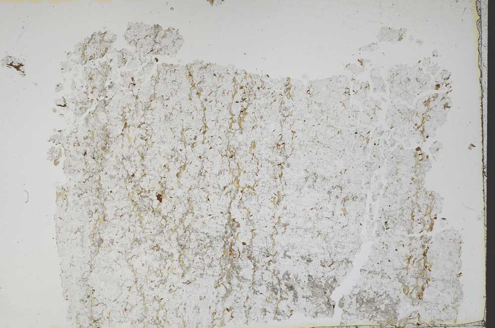 Plane Polarized, S48416