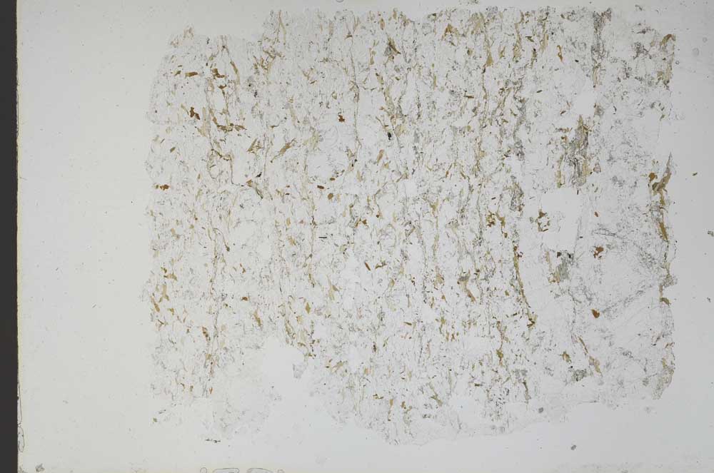 Plane Polarized, S48417