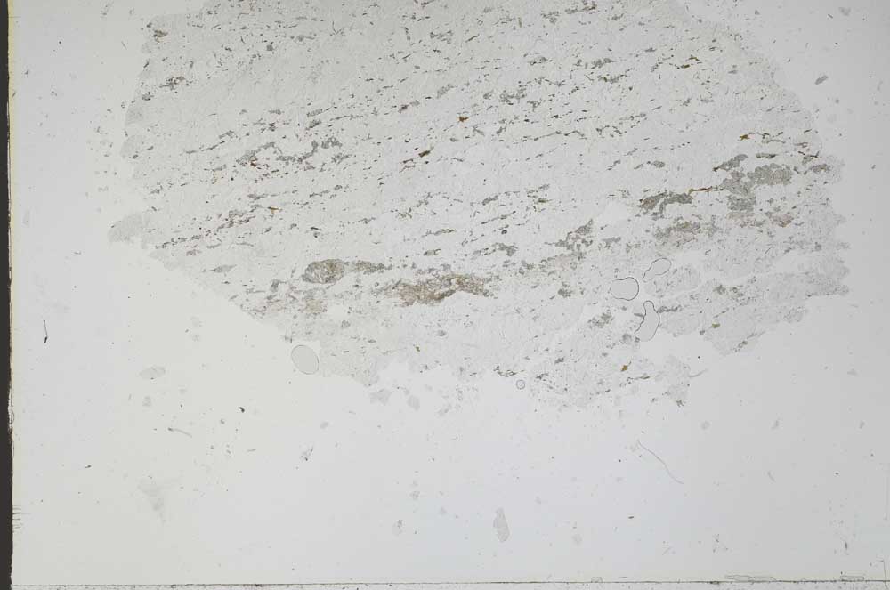 Plane Polarized, S48419