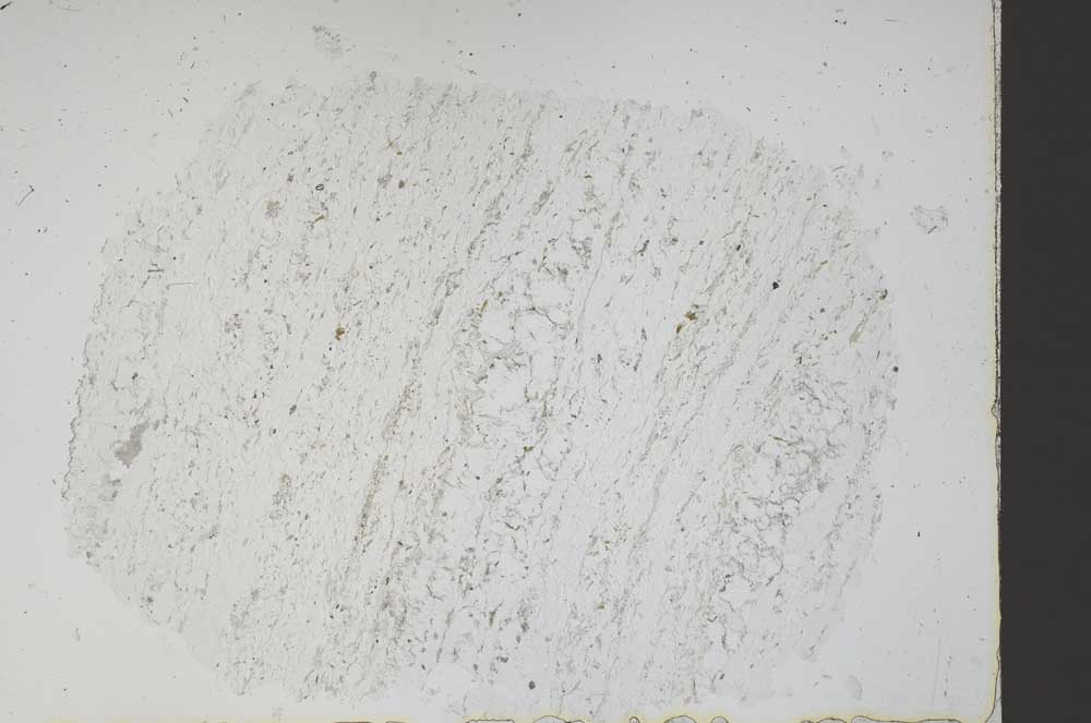 Plane Polarized, S48420