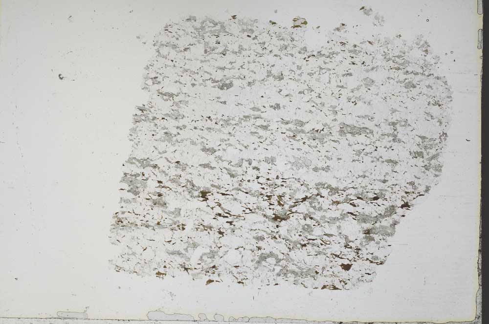 Plane Polarized, S48422