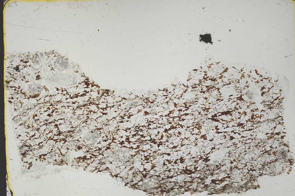 Plane Polarized, S48455