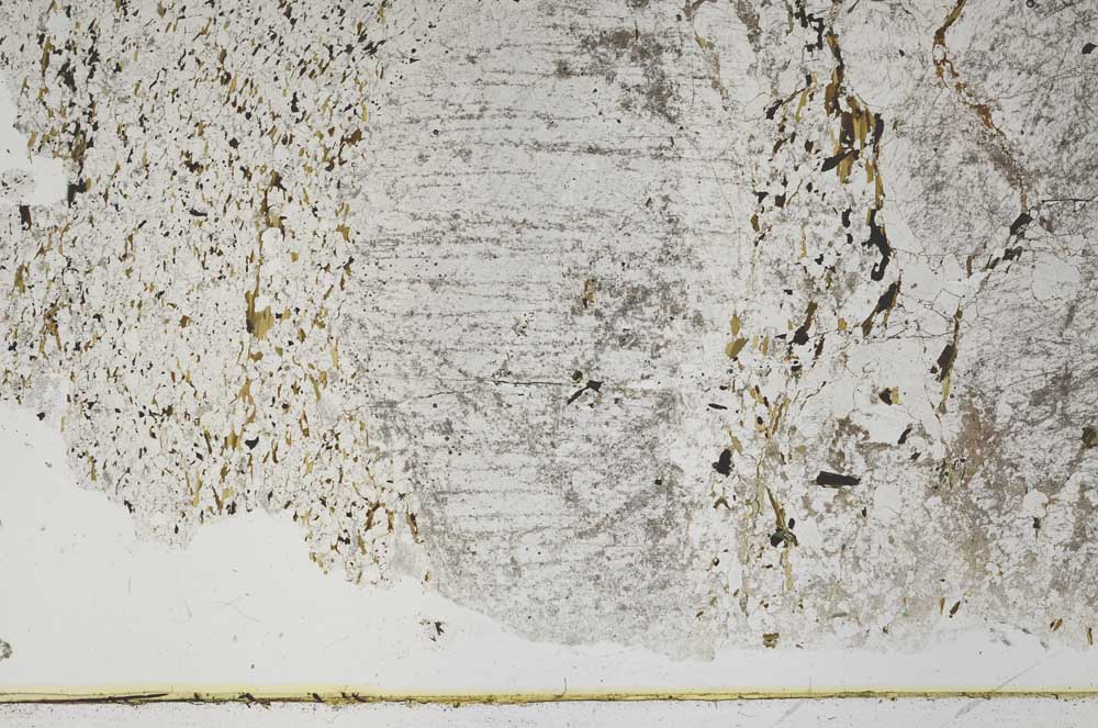 Plane Polarized, S48467