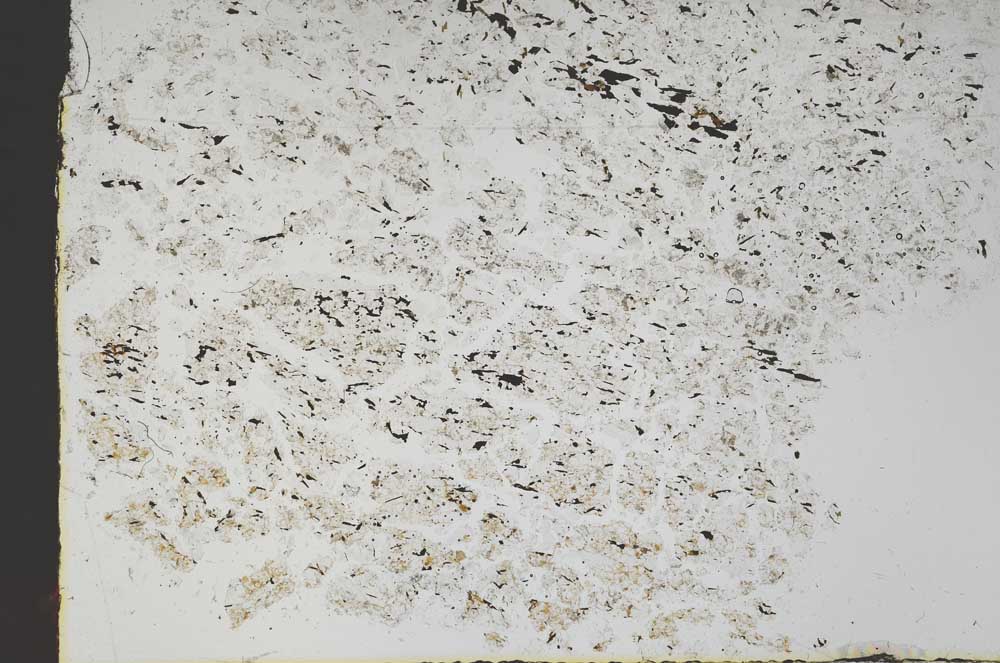 Plane Polarized, S48469