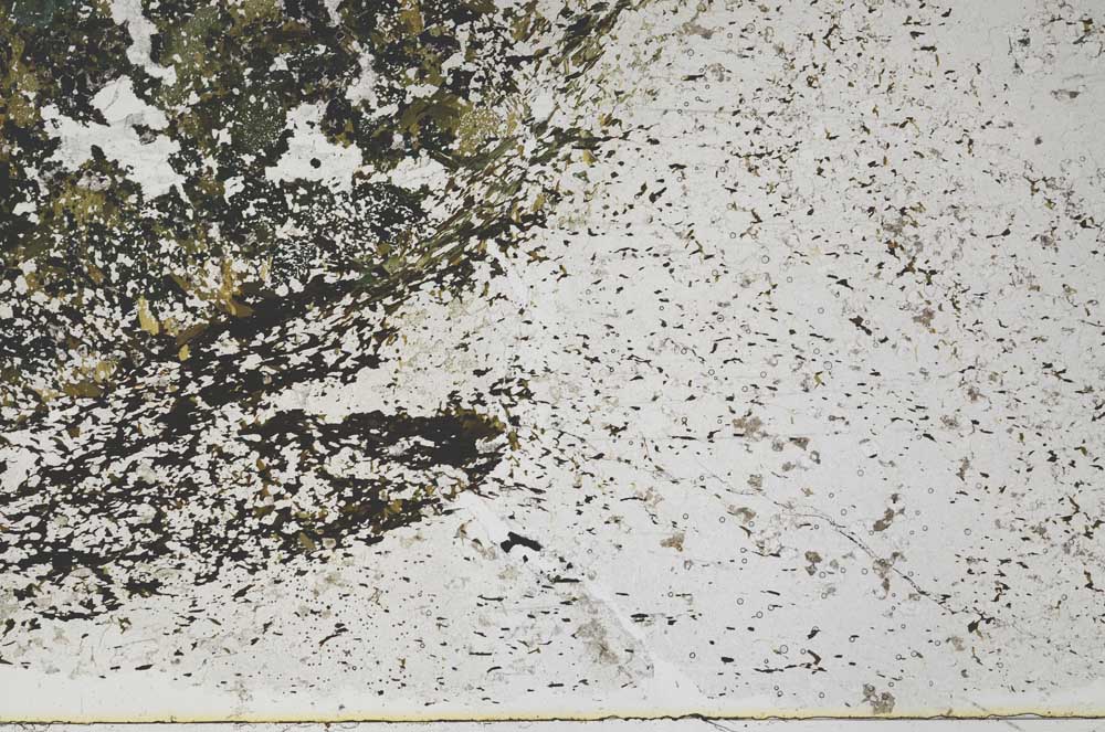 Plane Polarized, S48471