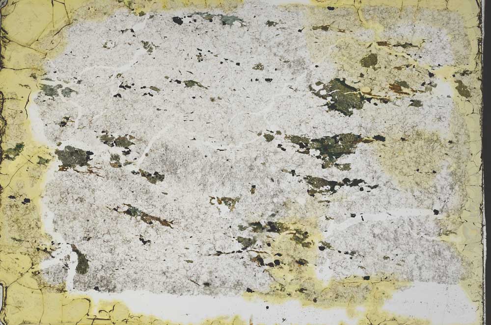 Plane Polarized, S48474