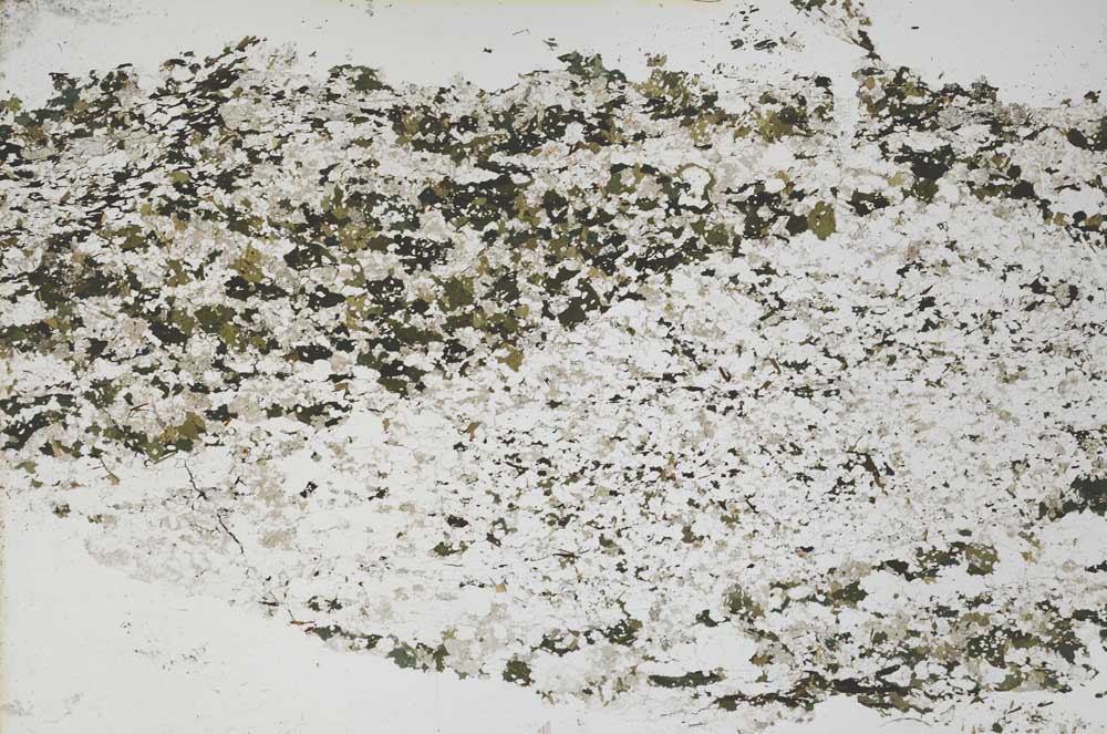 Plane Polarized, S48603