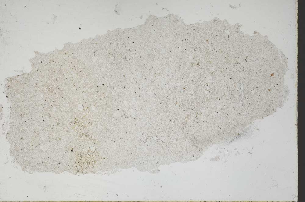 Plane Polarized, S48605