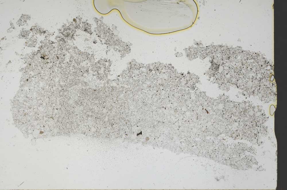 Plane Polarized, S48607