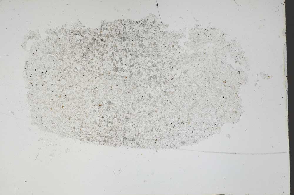 Plane Polarized, S48608