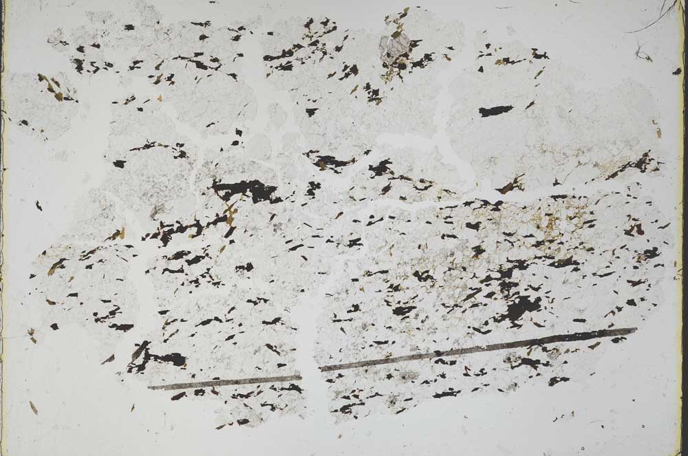 Plane Polarized, S48635