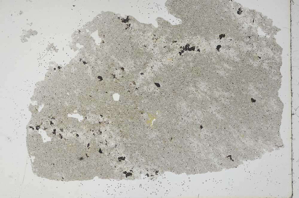 Plane Polarized, S48732