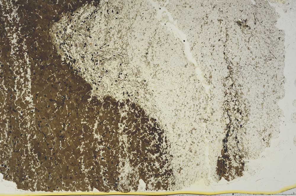 Plane Polarized, S48759