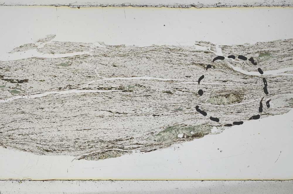 Plane Polarized, S48761