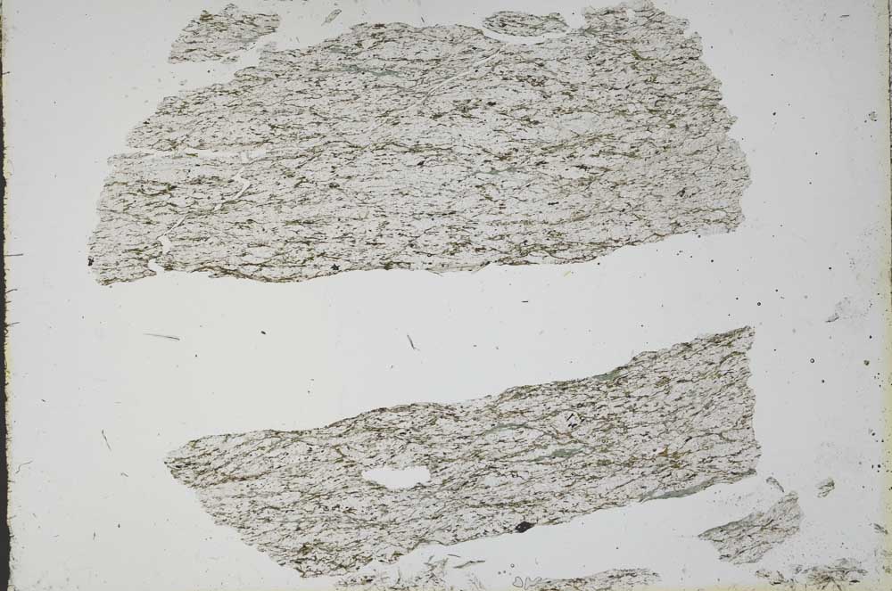 Plane Polarized, S48764