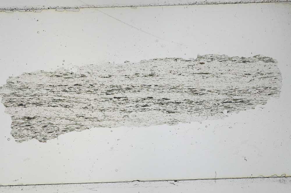 Plane Polarized, S48765