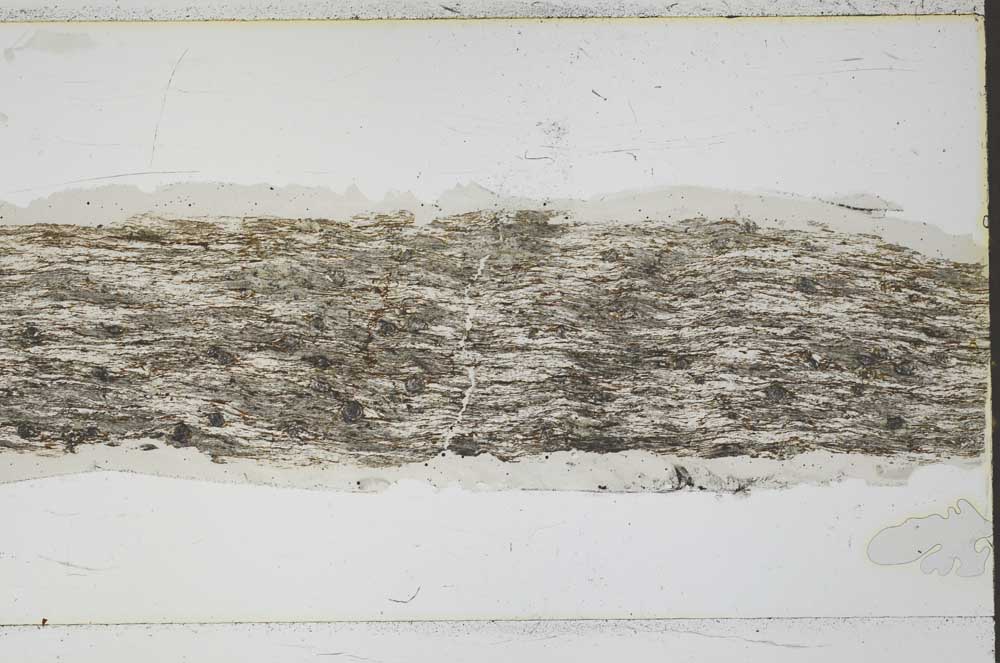 Plane Polarized, S48771