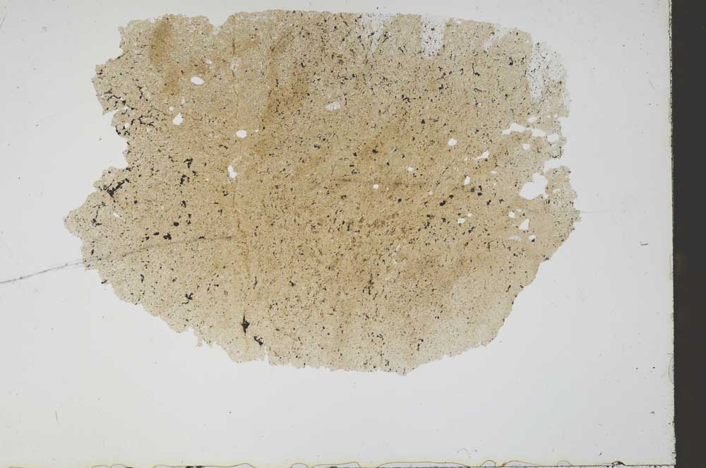 Plane Polarized, S48792