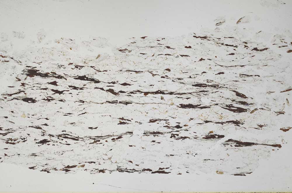 Plane Polarized, S48843