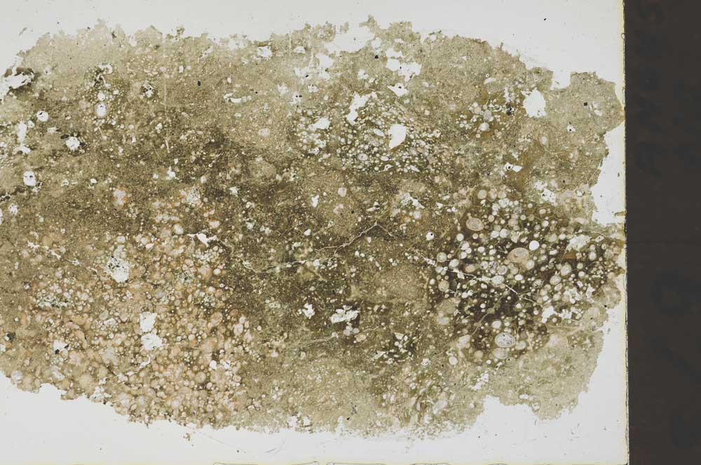 Plane Polarized, S48890