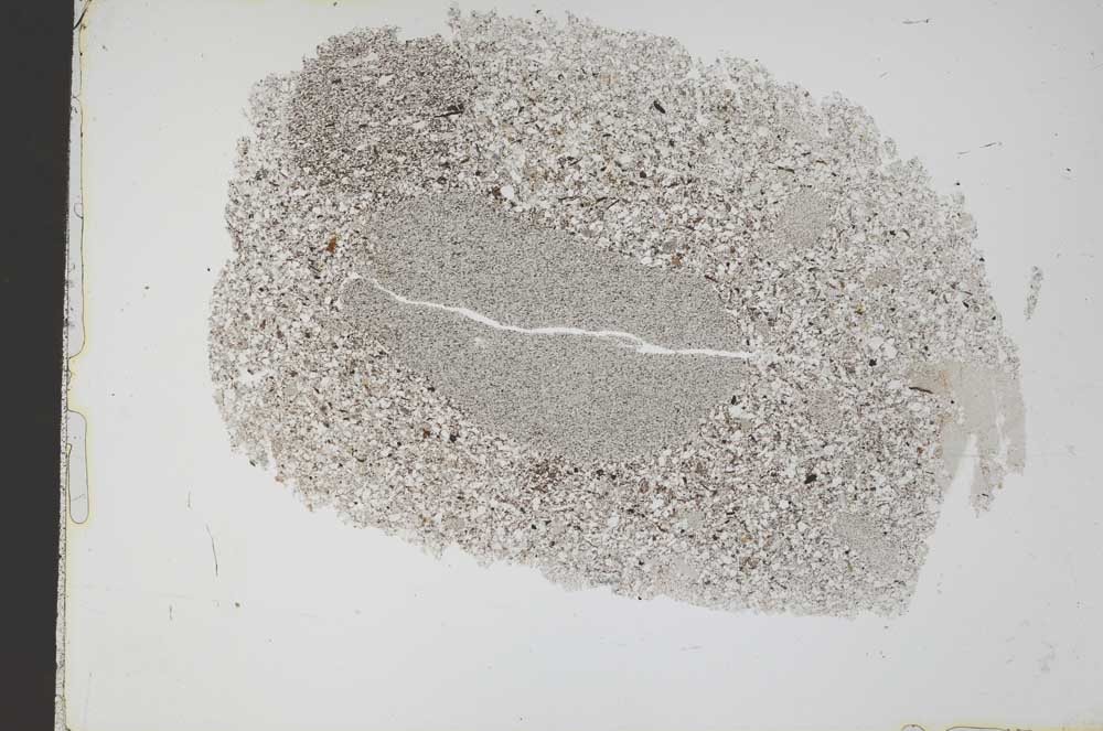 Plane Polarized, S48893