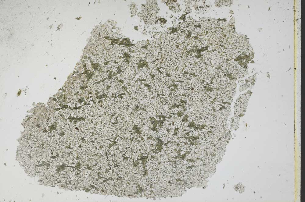 Plane Polarized, S48898