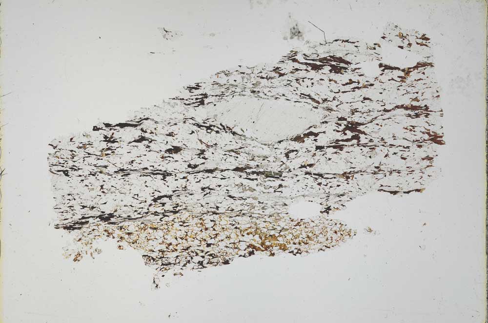 Plane Polarized, S48916