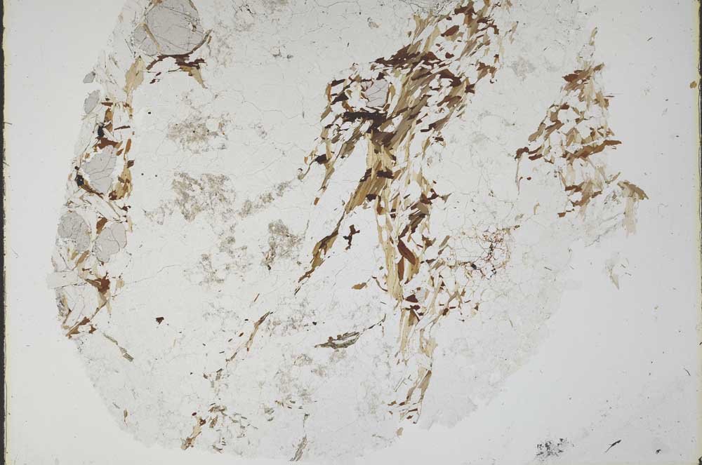 Plane Polarized, S48920