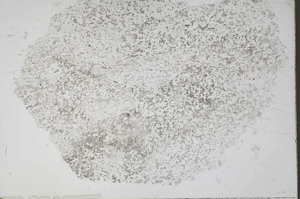 Plane Polarized, S48925