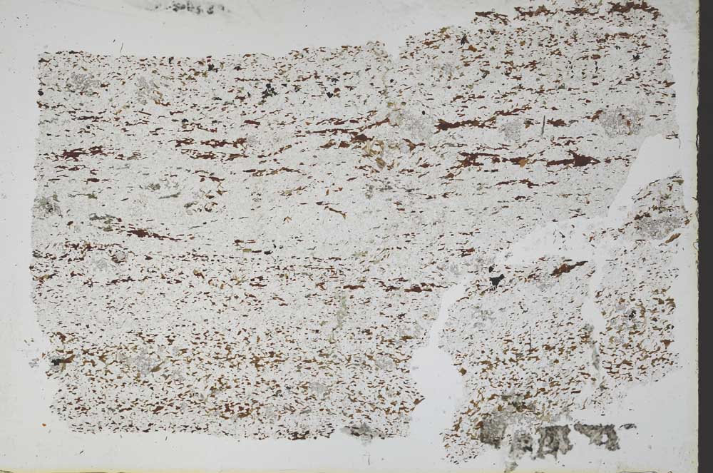 Plane Polarized, S48927