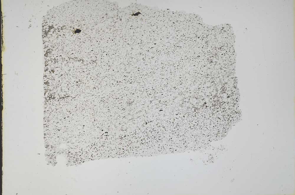 Plane Polarized, S48932